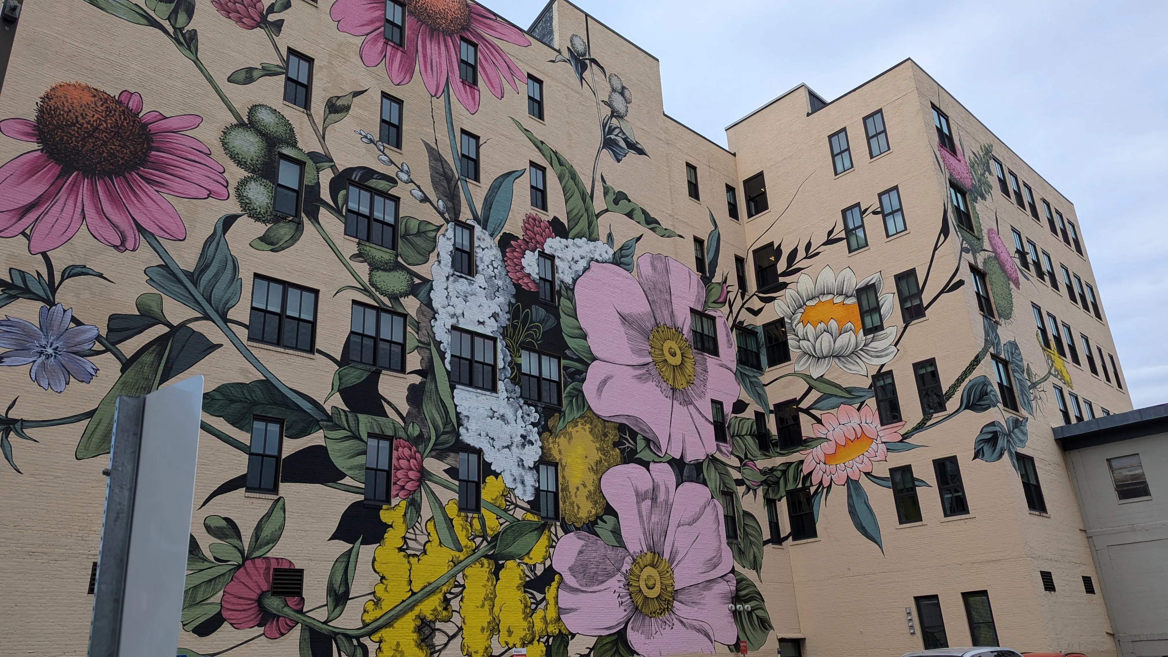 A colorful floral mural on a downtown Buffalo building