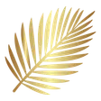 Silverfern Technology Consultants logo